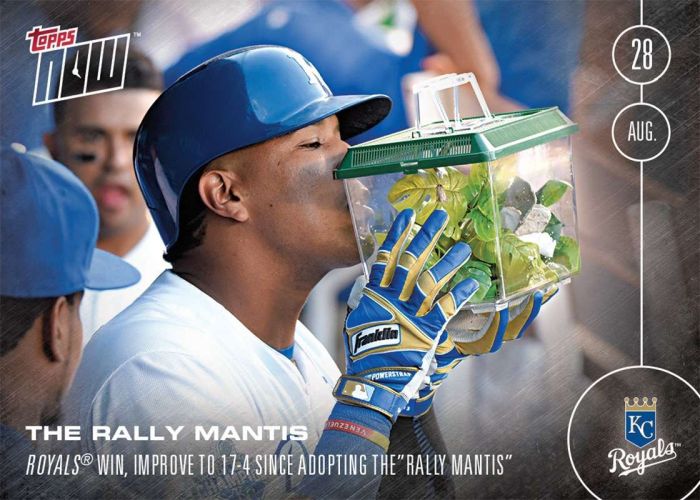 2016 Topps Now #403 The Rally Mantis