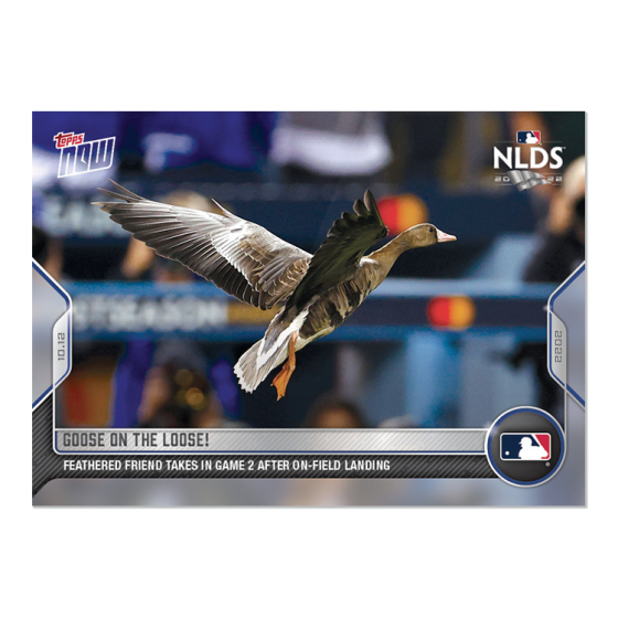 2022 Topps Now #1066 Goose on the Loose