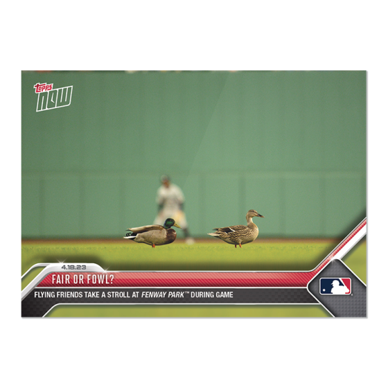 2023 Topps Now #144 Fair or fowl?