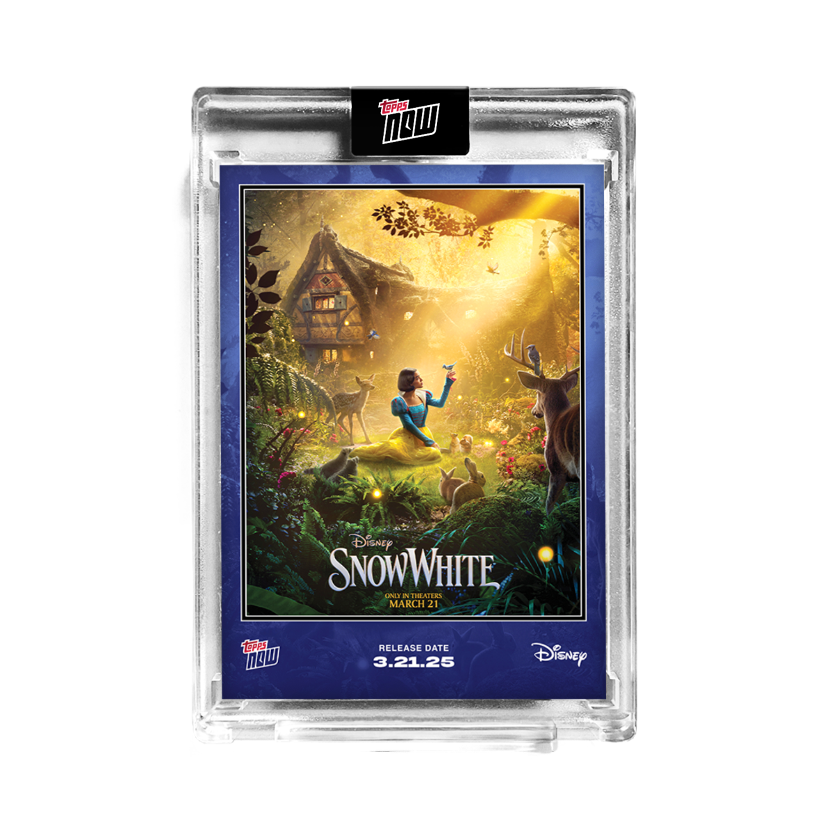 Pop Culture & Entertainment #2025-SNOW-WHITE Snow White