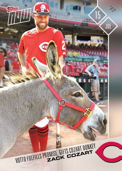 Animals & Oddball Items #2017-352 Zack Cozart