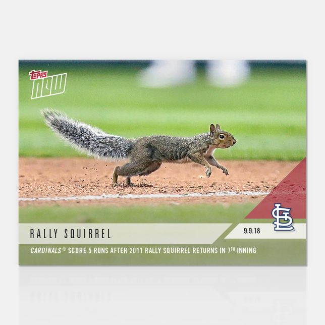 Animals & Oddball Items #2018-709 Rally Squirrel