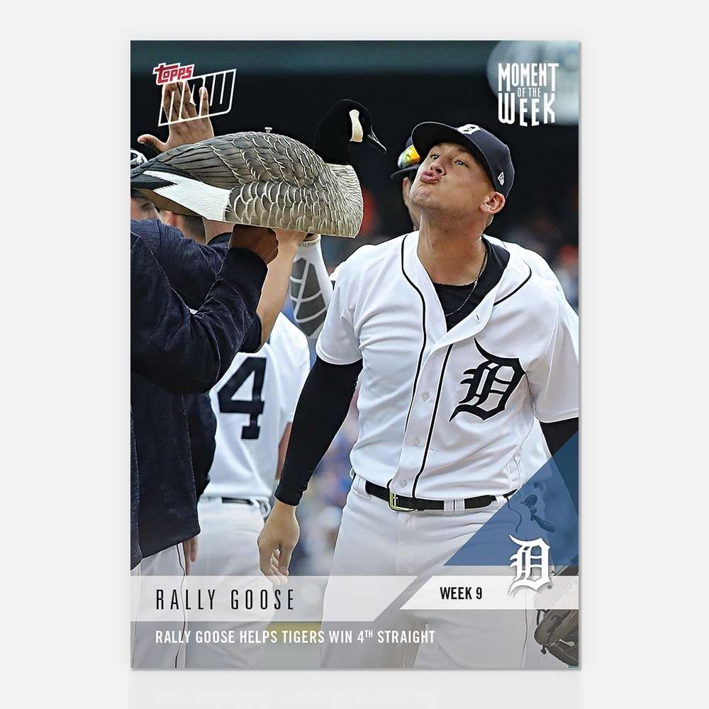Animals & Oddball Items #2018-MOTW9-WINNER Rally Goose - Winner