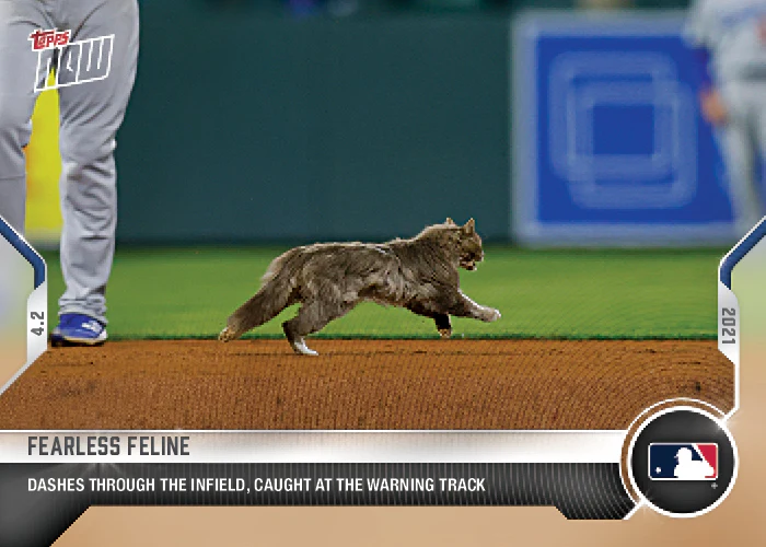 Animals & Oddball Items #2021-15 Rally Cat "Fearless Feline"