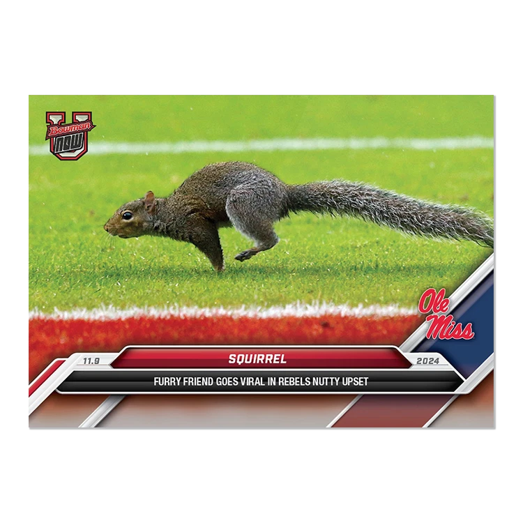 Animals & Oddball Items #2024-BU-41 Squirrel