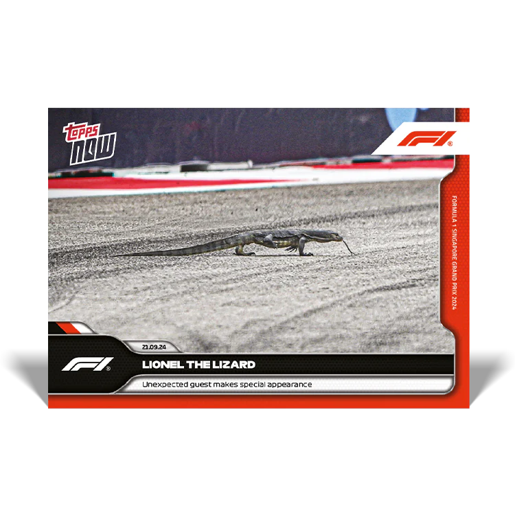 Animals & Oddball Items #2024-F1-56 Lionel the Lizard