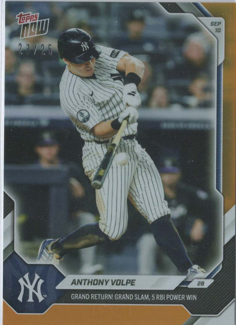 Anthony Volpe Orange 23/25